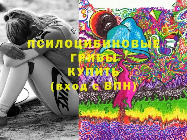 мяу мяу мука Саяногорск
