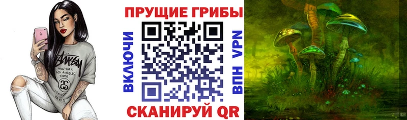 Купить  Серов  Псилоцибиновые грибы Psilocybe 